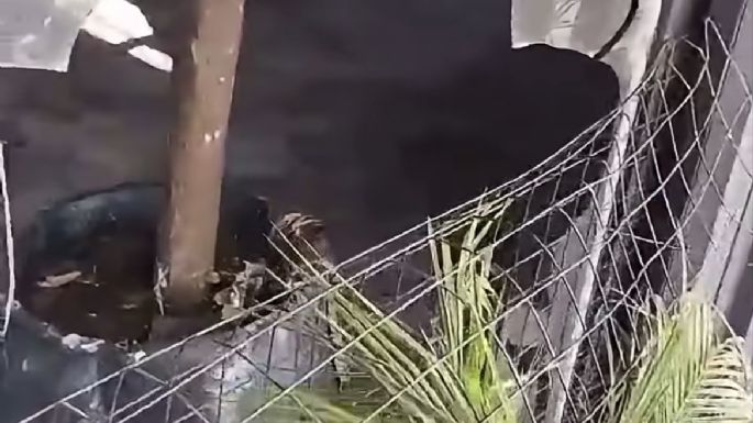 Tras el incendio, robaron herramientas de Repark durante la madrugada