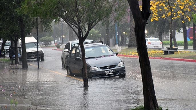 Se registraron 31 mm en cuatro horas de lluvia