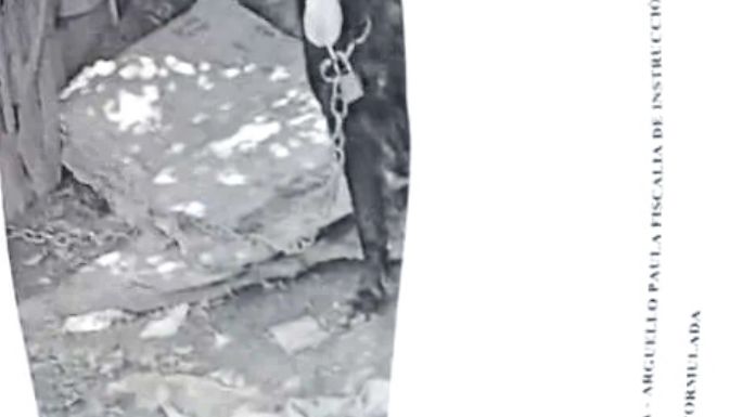 Denunció maltrato animal y la desaparición de un perro