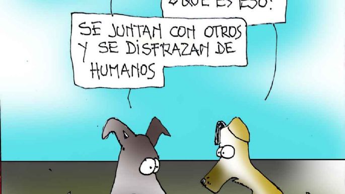 Humor 17/02/2026