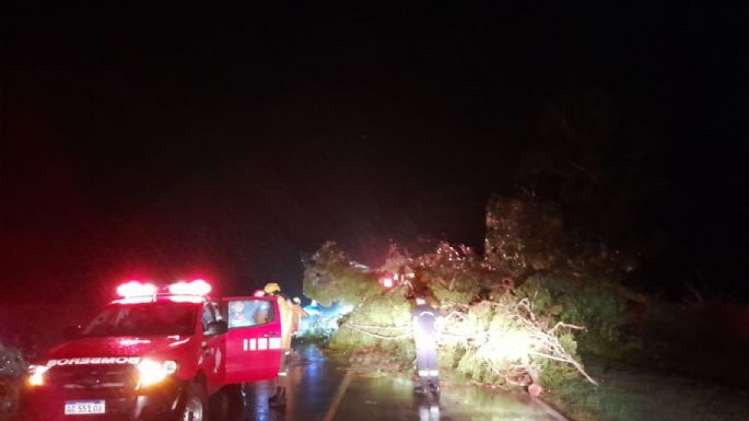 El temporal se sintió en muchas zonas de la provincia y en La Laguna cayeron 130 mm