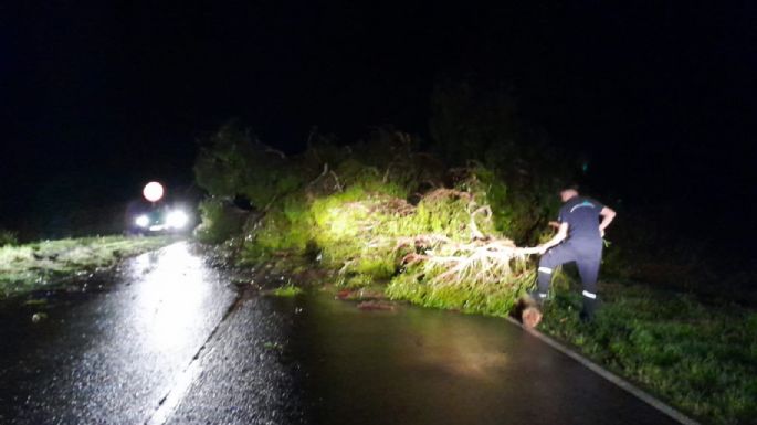 El temporal se sintió en muchas zonas de la provincia y en La Laguna cayeron 130 mm