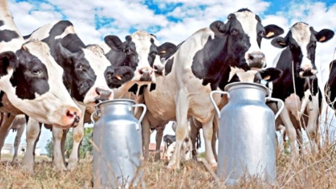 Mucha leche, poca rentabilidad