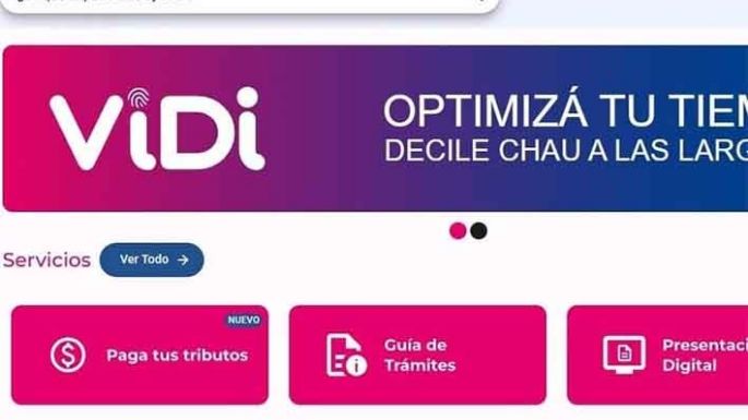 La plataforma ViDi superó las 26 mil gestiones