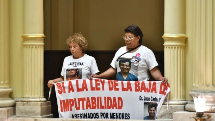 El Senado aprobó la baja de la edad de imputabilidad de 16 a 14 años