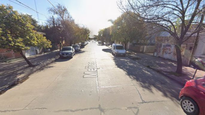 Arrojó basura y un perro sin vida a la vía pública: fue multado