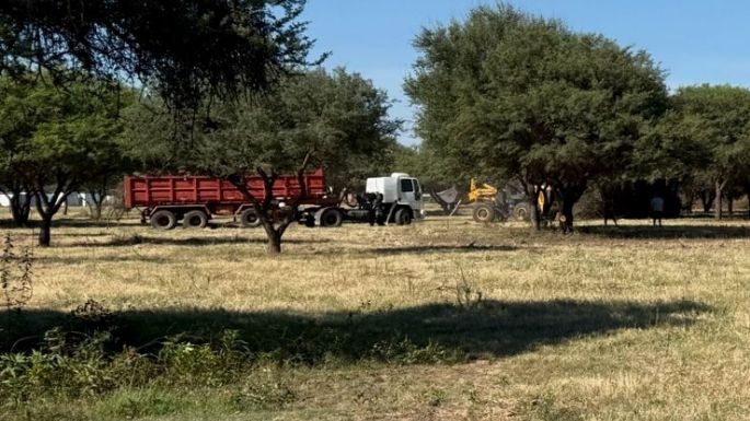 Tala en barrio Golf: el municipio solo había autorizado una "poda correctiva"