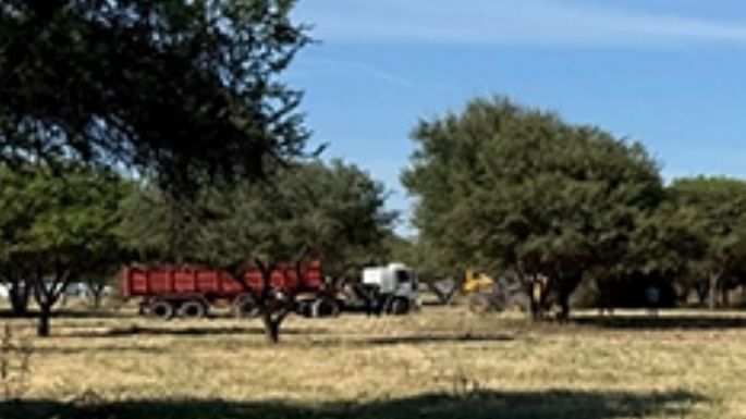 Frenan dos acciones de daño ambiental