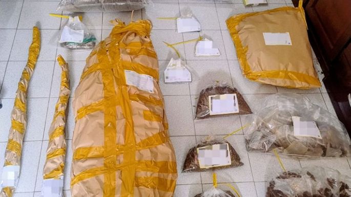 Hallaron 10 kilos de cannabis en una casa de Parque Norte