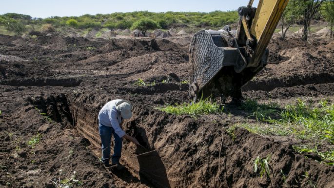 Reanudarán las tareas de búsqueda en el predio de La Perla