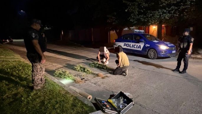 Saltó las rejas de una casa con tres plantas de marihuana: terminó detenido