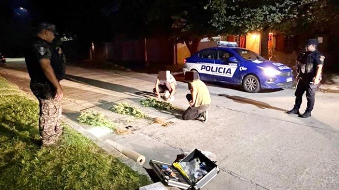 Entró ilegalmente al patio de una casa, sacó tres plantas de cannabis y lo aprehendieron