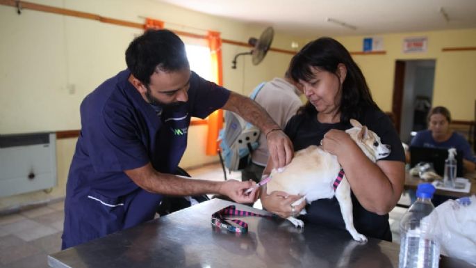 Más de mil mascotas fueron vacunadas contra la rabia