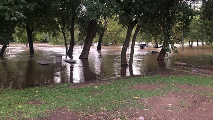 Desde mañana martes se notará una importante suba del Ctalamochita