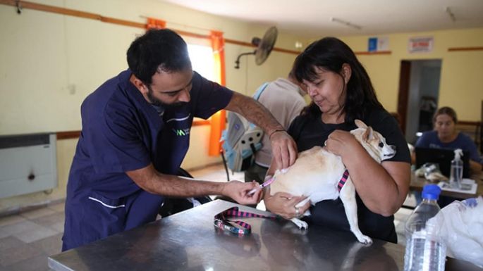 Más de mil mascotas vacunadas