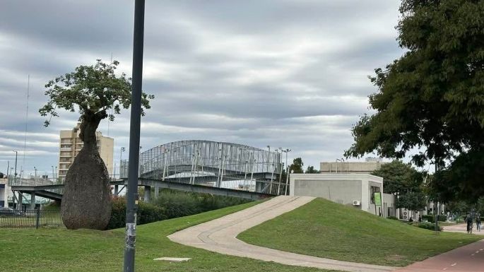 Cercan un sector por el inicio de la obra de ampliación del Parque de la Vida