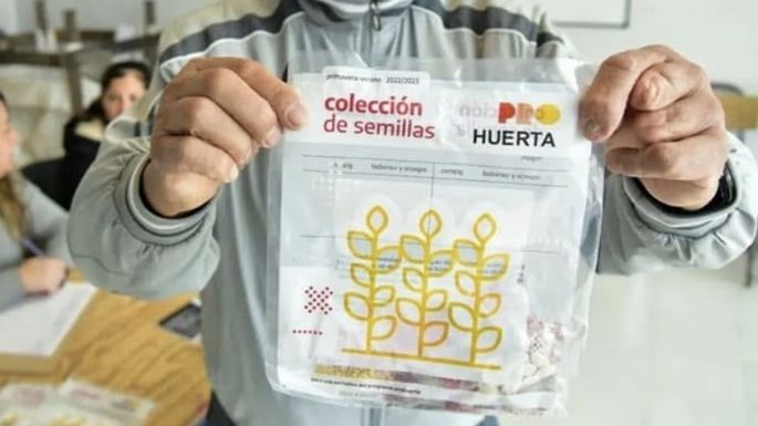 Huertas familiares: están abiertas las inscripciones para recibir kits de semillas