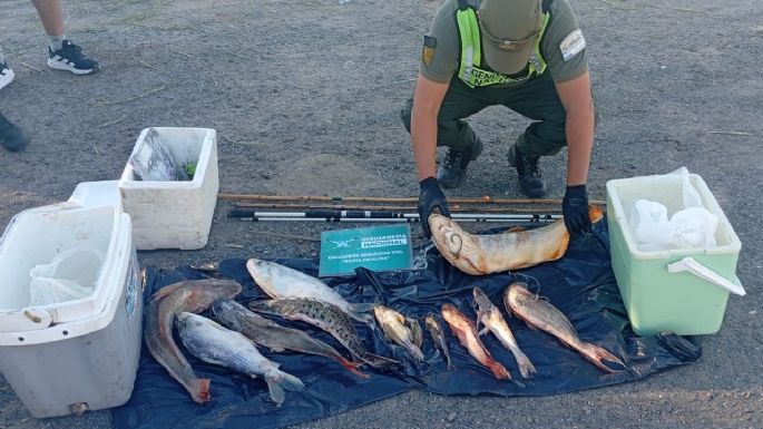 Secuestraron pescados de distintas especies en un control