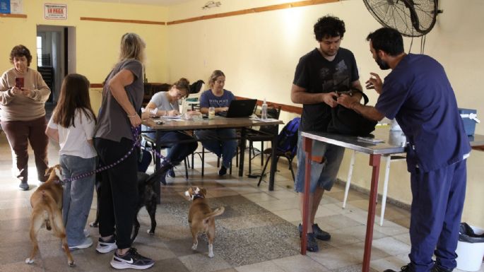 Mañana sábado continúa la campaña de vacunación antirrábica gratuita en Villa María