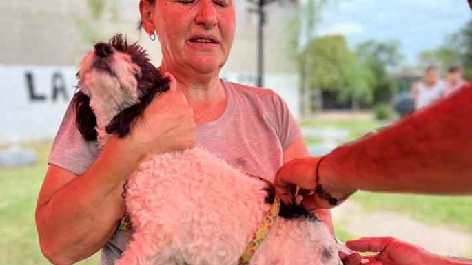 Refuerzan el cuidado animal con una nueva jornada de vacunación antirrábica
