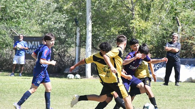 Otra vez, suspendido
