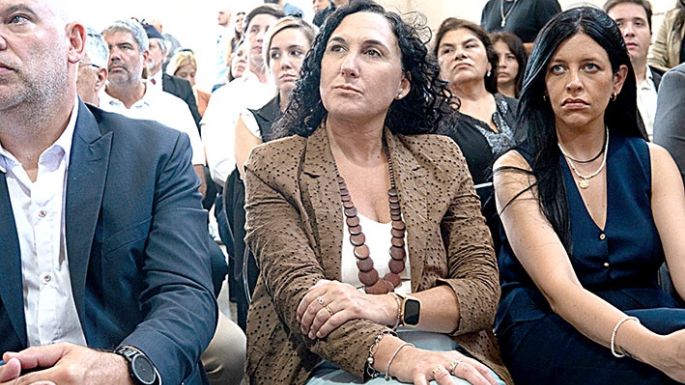 Carnés de conducir bajo la lupa