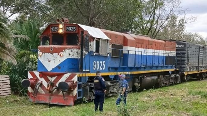 Anciana falleció luego de ser embestida por un tren