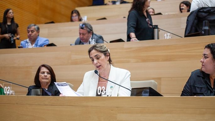 El PJ armó listas únicas y dos mujeres son líderes en las Villas