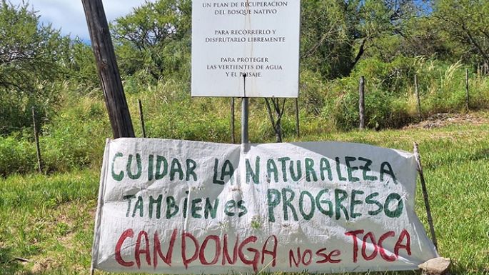 “En el juicio se podrá defender como no pudo hacerlo el bosque”