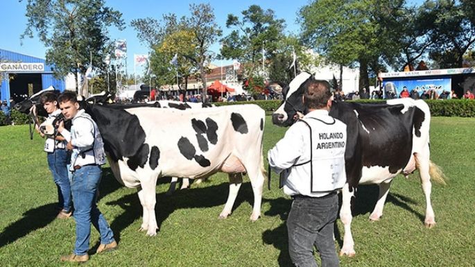 Mayo será el mes más lechero