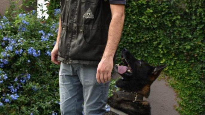 Se retiró Buster, el perro antinarcóticos con efectividad perfecta