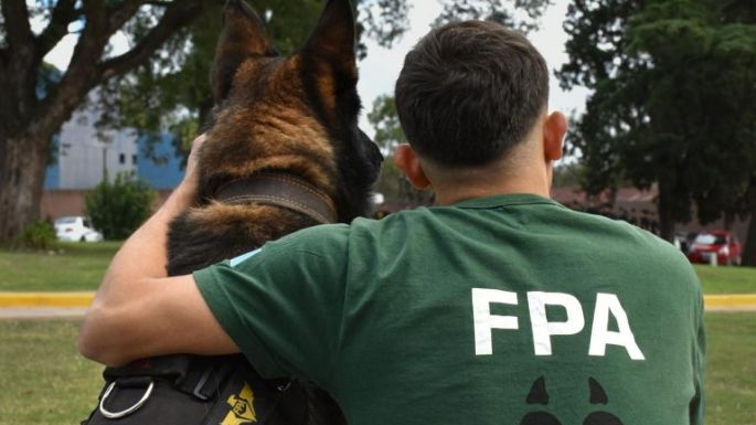 Se retiró Buster, el perro antinarcóticos con efectividad perfecta