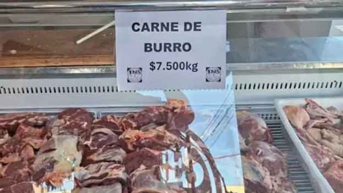 La carne de burro, ¿transparente?