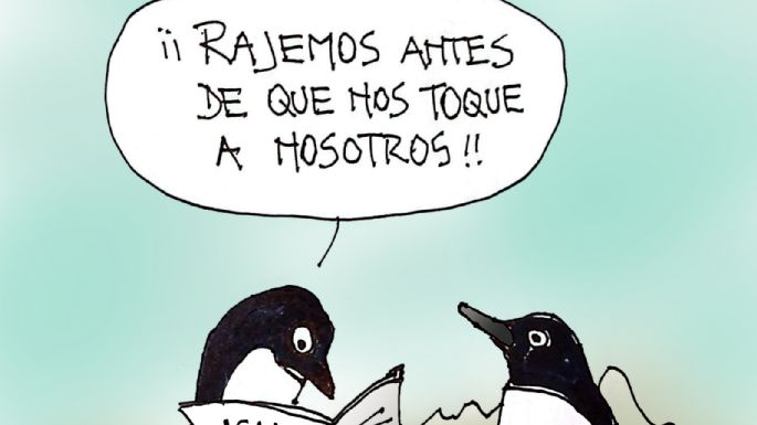 Humor 26/04/2026