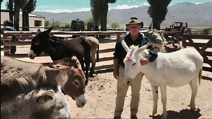 “Los productos de burro tienen un potencial enorme”