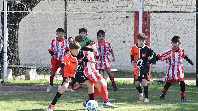 Líderes solitarios en casi todas las tablas