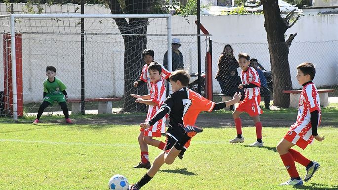 Líderes solitarios en casi todas las tablas