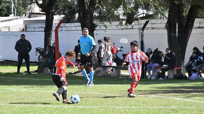 Líderes solitarios en casi todas las tablas