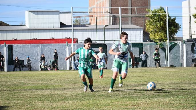 Líderes solitarios en casi todas las tablas