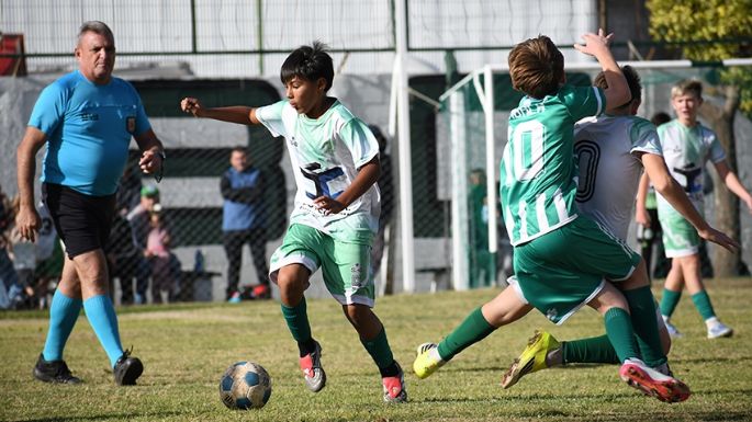Líderes solitarios en casi todas las tablas