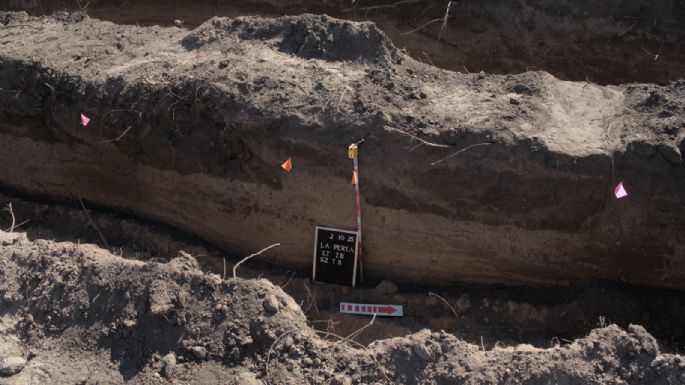 Reanudarán las tareas de búsqueda en el predio de La Perla