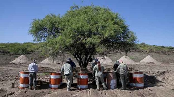 Reanudarán las tareas de rastrillaje en La Perla