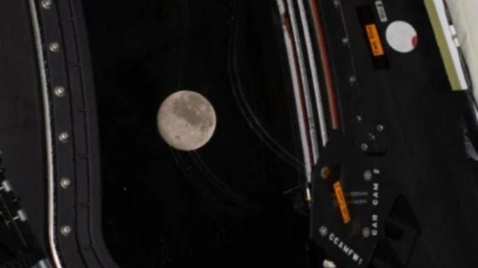 Mirá el sobrevuelo lunar de Artemis II