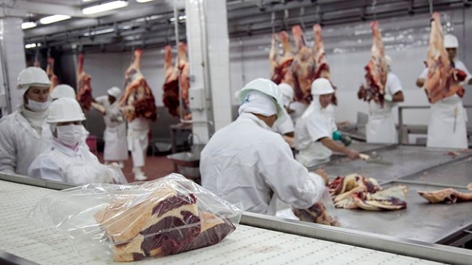 Proyectan un aumento del 80% en las exportaciones