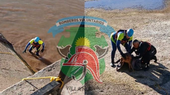 Rescataron a un perro que no podía salir del río