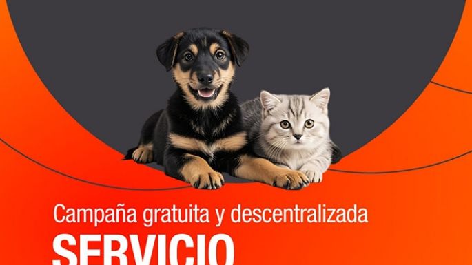 Castración y antirrábicas