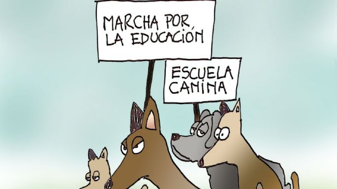 Humor 13/05/2026
