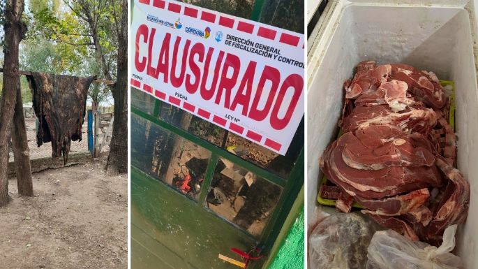 Clausuraron establecimientos por faenamiento clandestino en Hernando