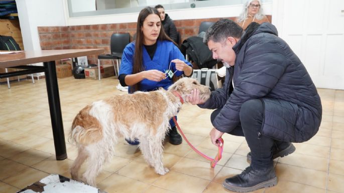 Más de 280 mascotas fueron vacunadas y castradas en el Municerca 2