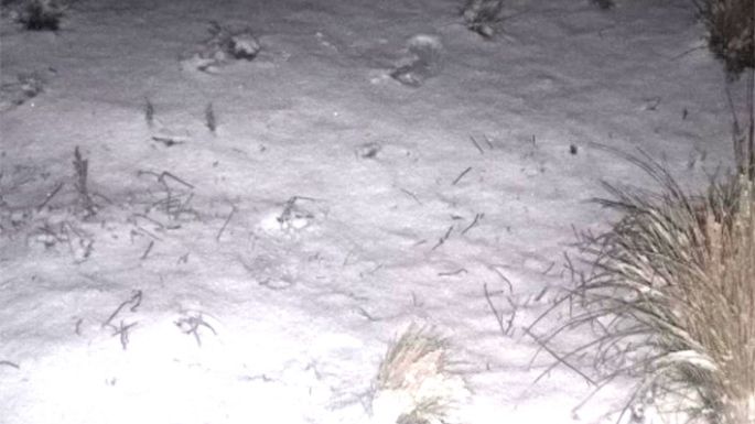Un manto blanco en el Champaquí
